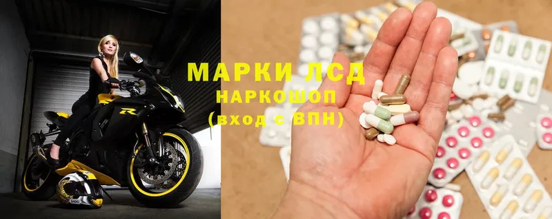 купить наркоту  Городовиковск  ЛСД экстази ecstasy 